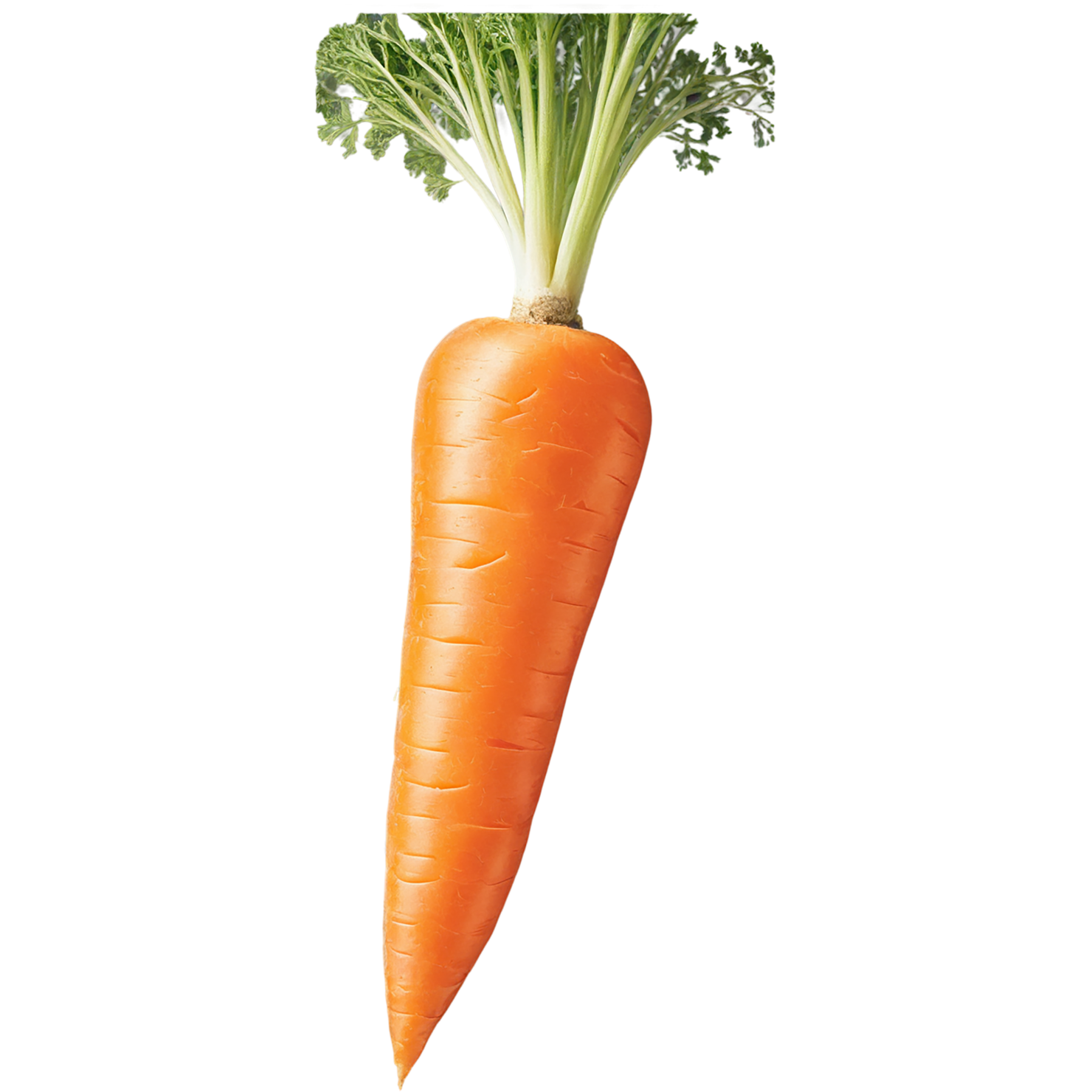 Carrot vegetables isolated on transparent background #10917