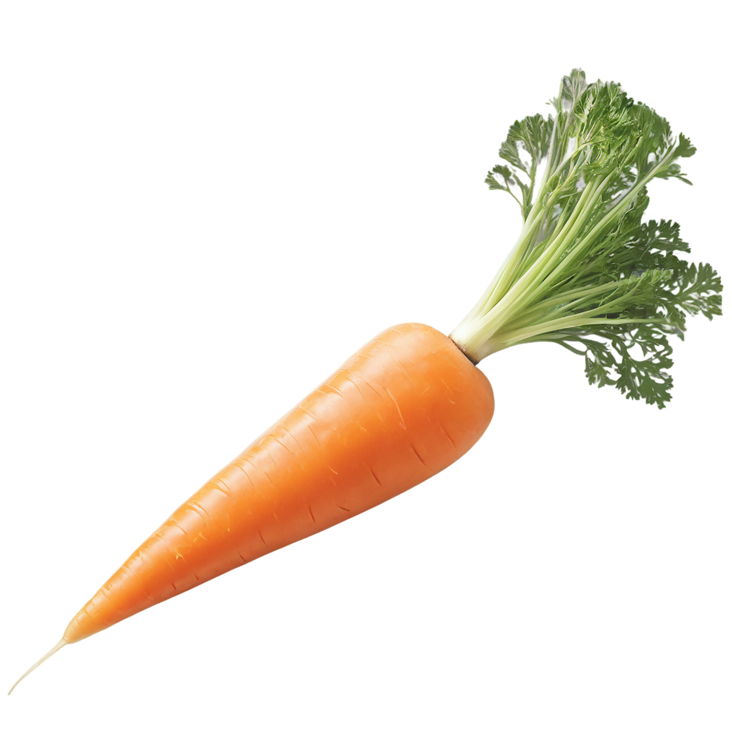 Carrot vegetables isolated on transparent background #10919