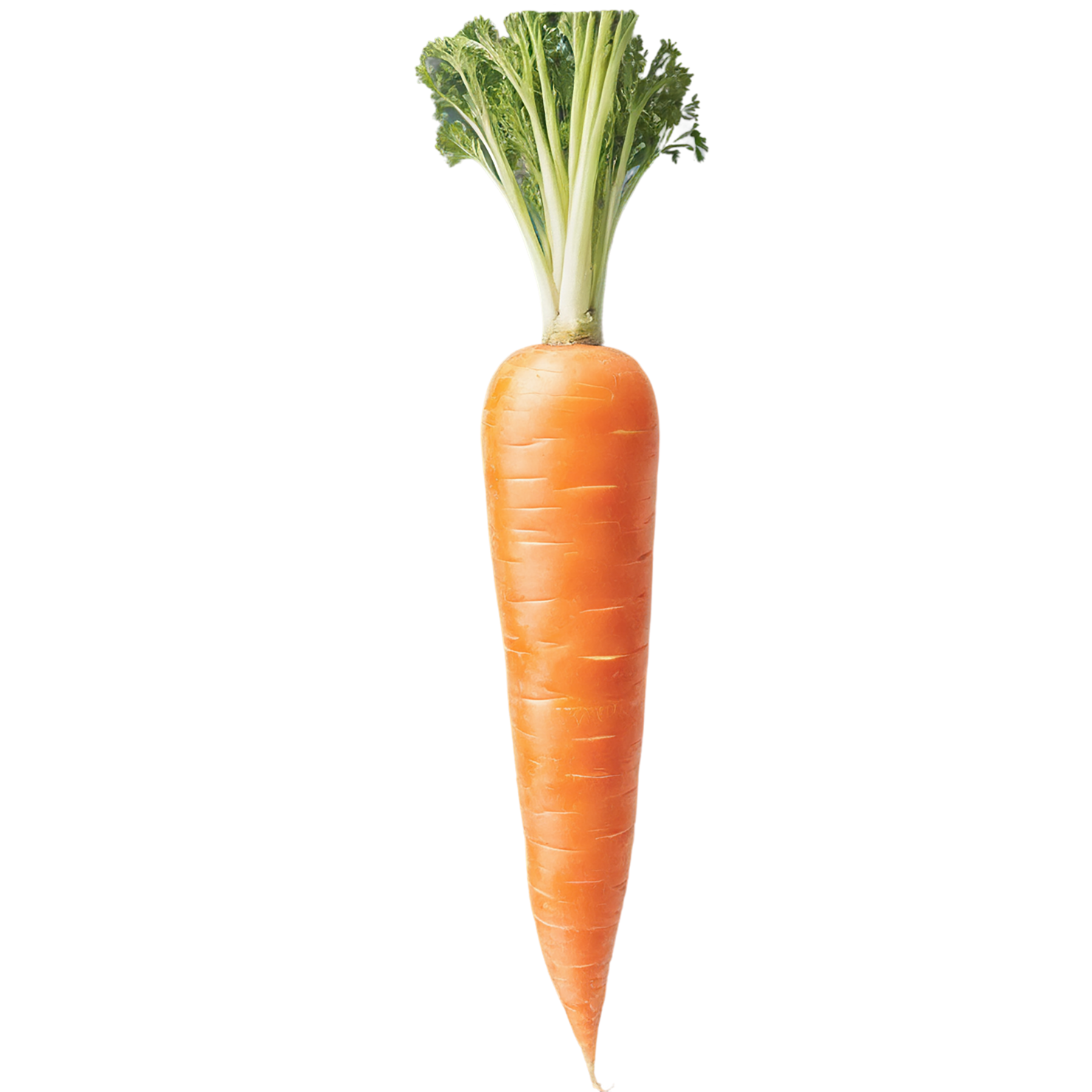 Carrot vegetables isolated on transparent background #10923
