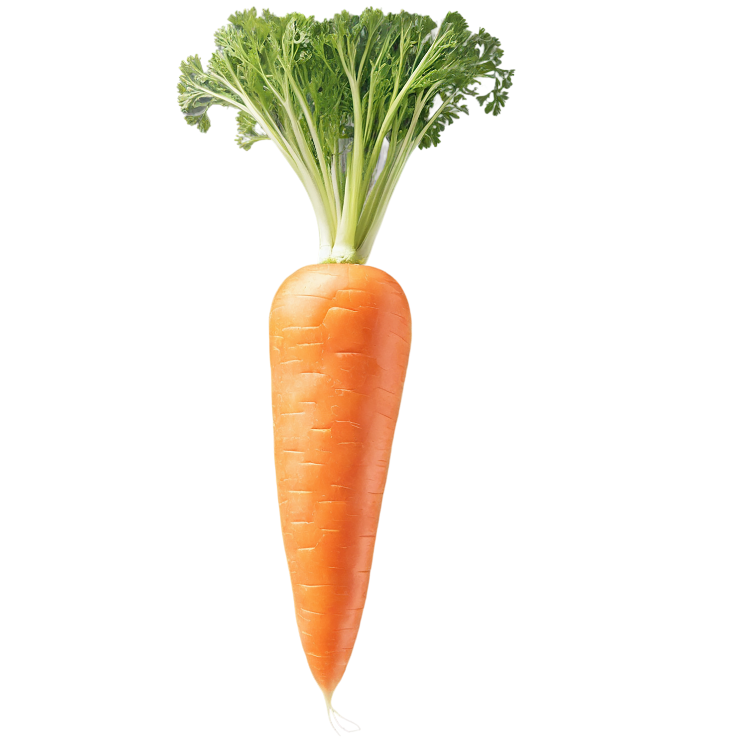 Carrot vegetables isolated on transparent background #10924