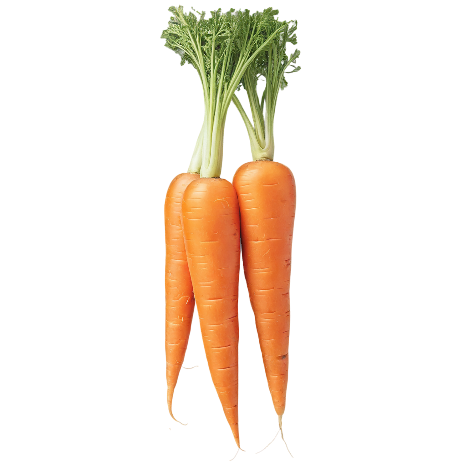 Carrot vegetables isolated on transparent background #10925