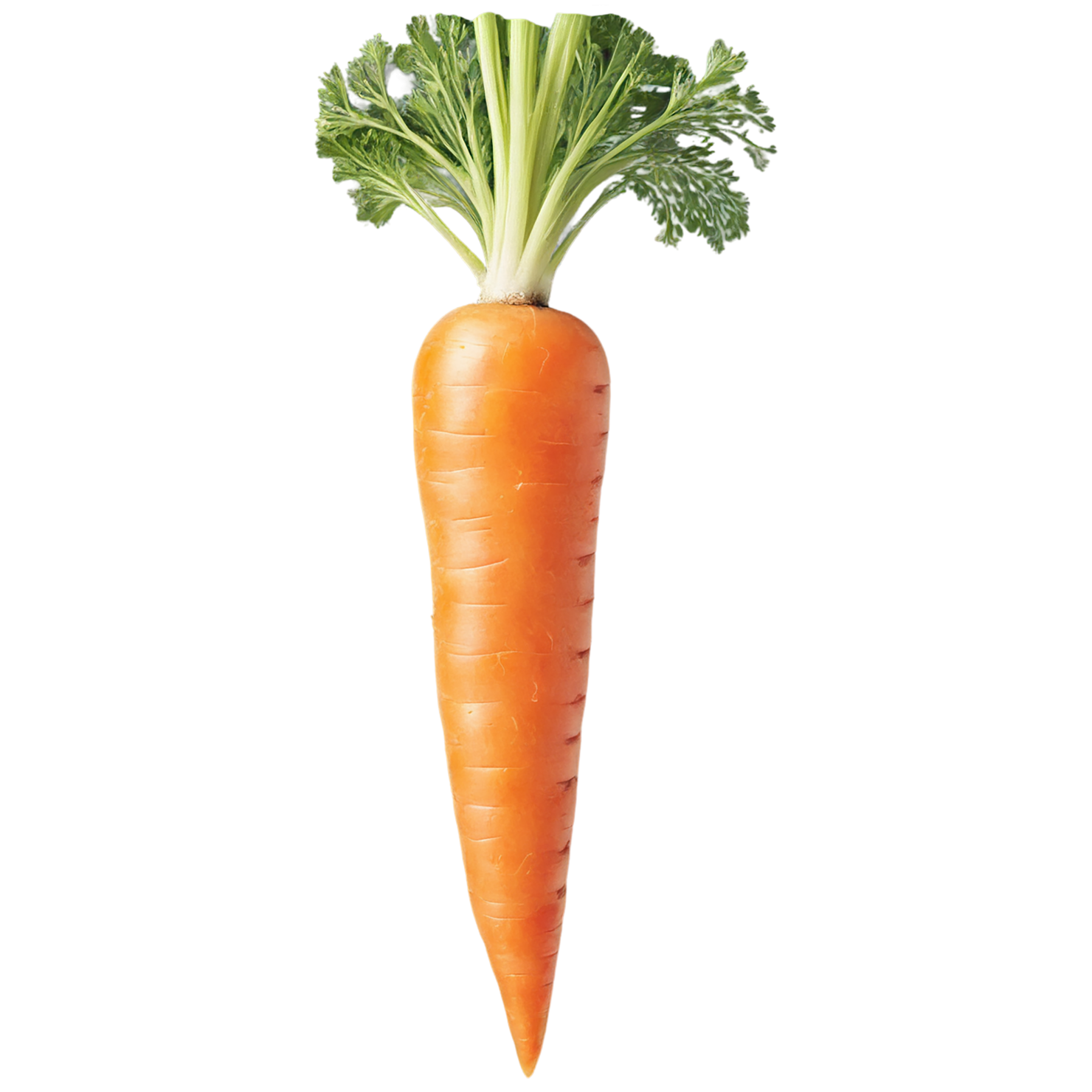 Carrot vegetables isolated on transparent background #10926