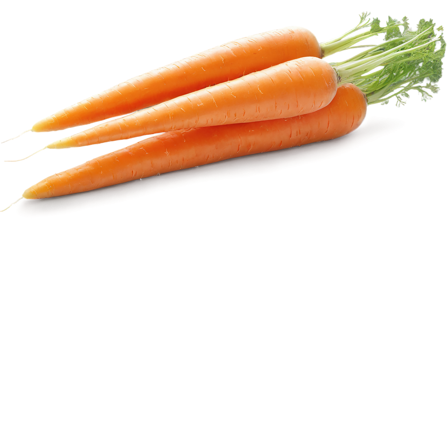 Carrot vegetables isolated on transparent background #10928