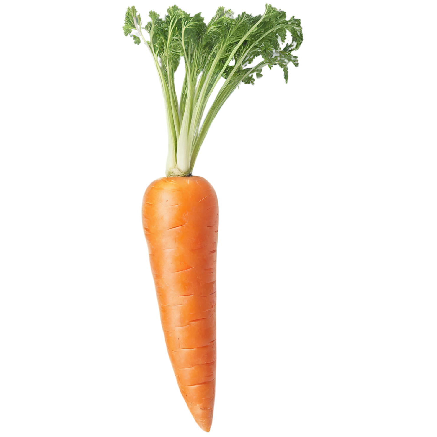 Carrot vegetables isolated on transparent background #10932