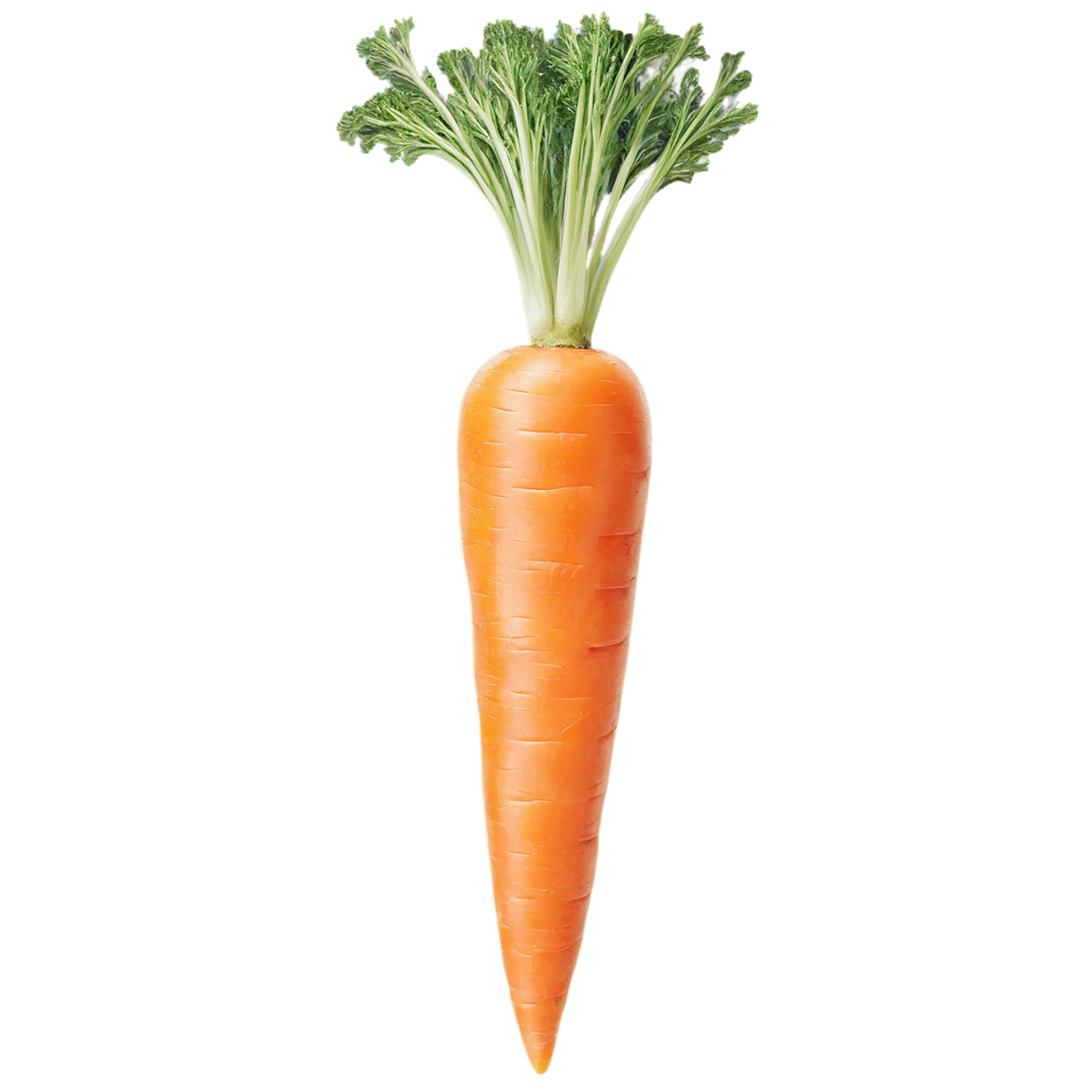 Carrot vegetables isolated on transparent background #10937