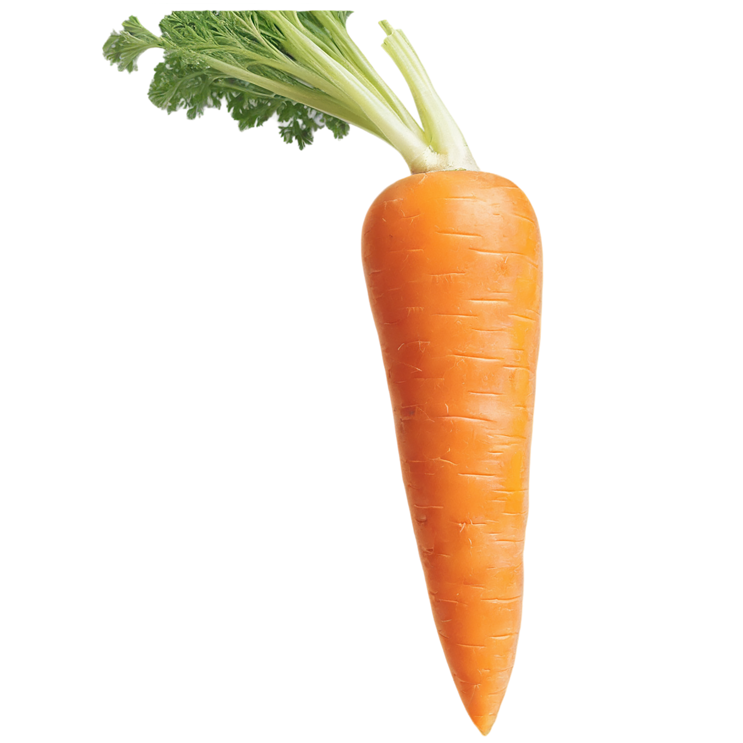 Carrot vegetables isolated on transparent background #10939