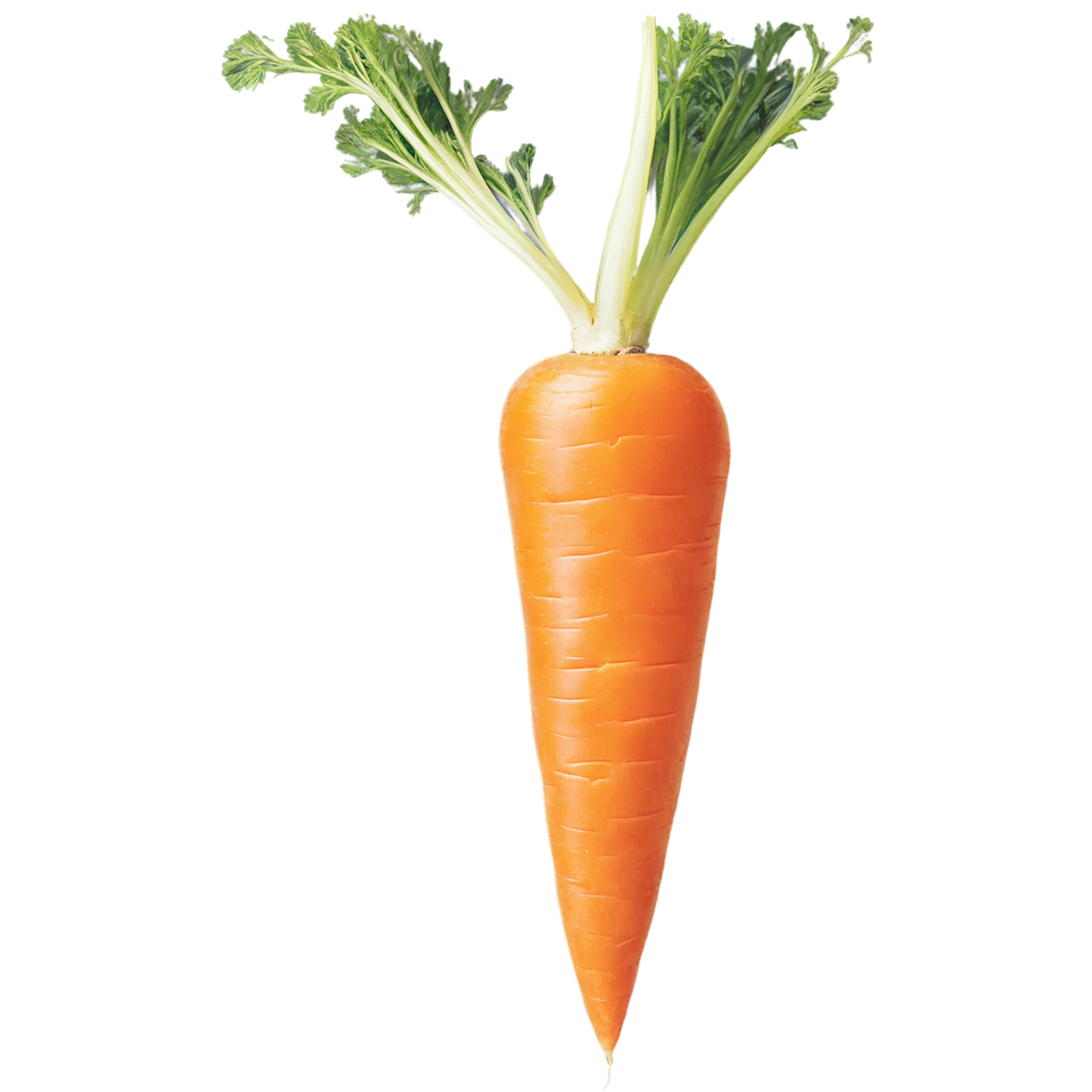 Carrot vegetables isolated on transparent background #10940
