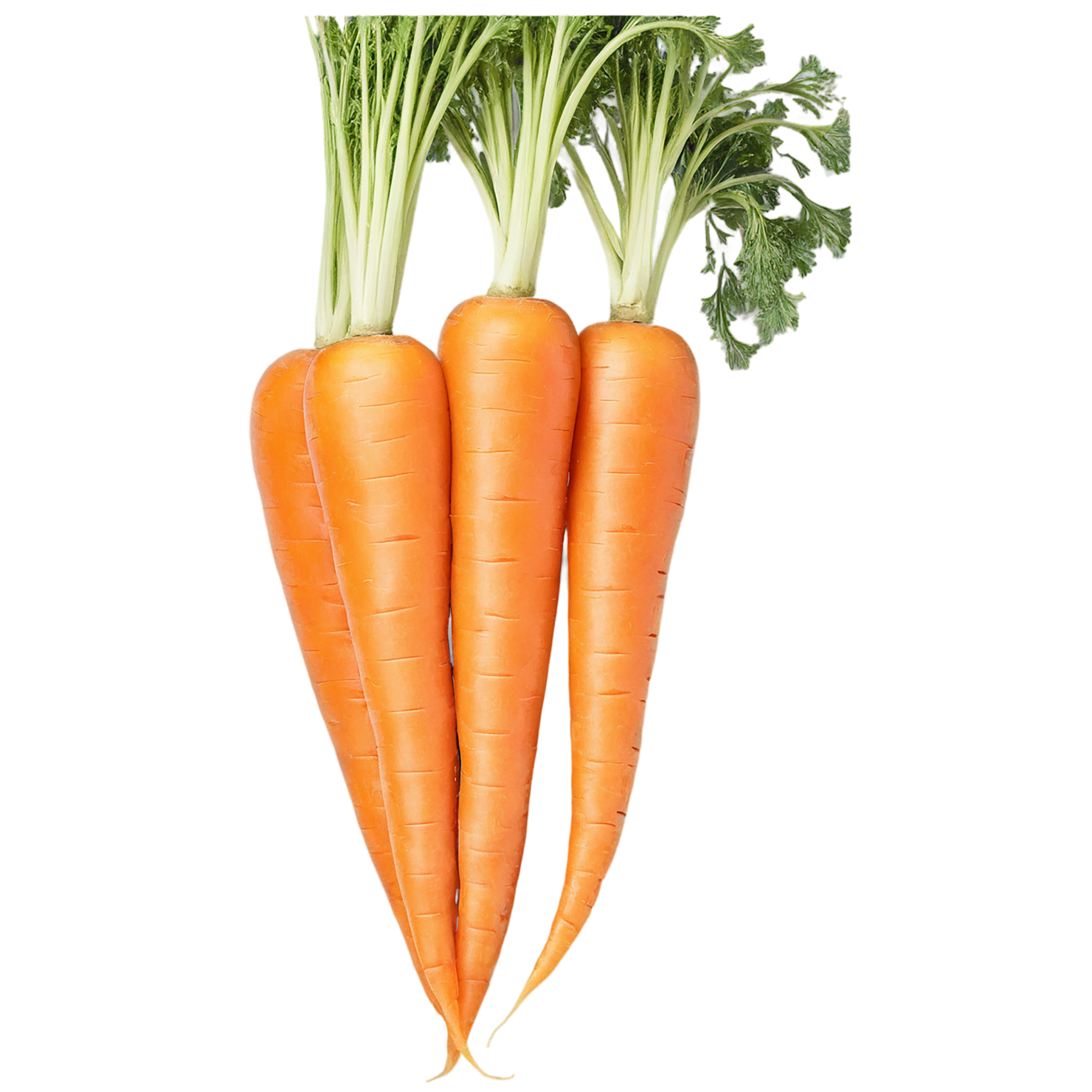 Carrot vegetables isolated on transparent background #10946