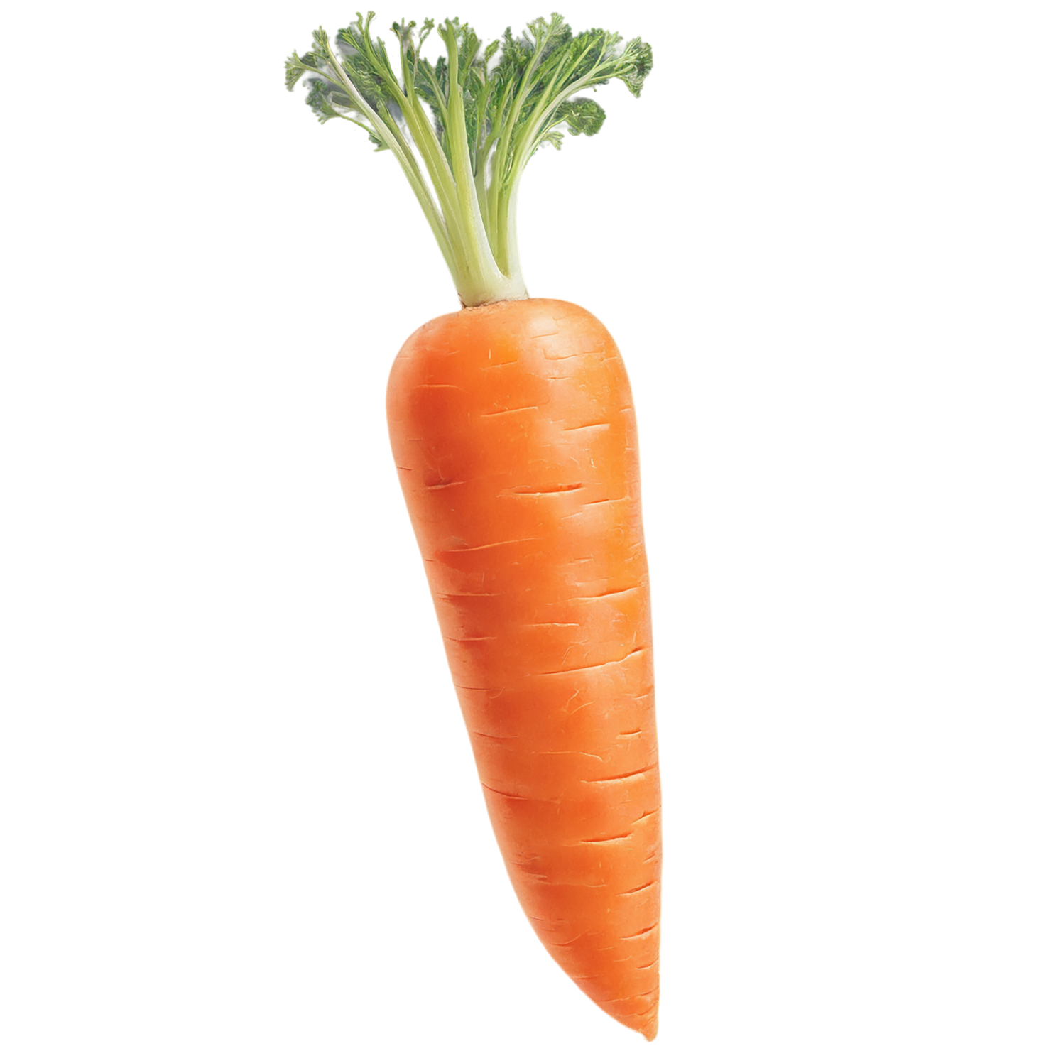 Carrot vegetables isolated on transparent background #10952