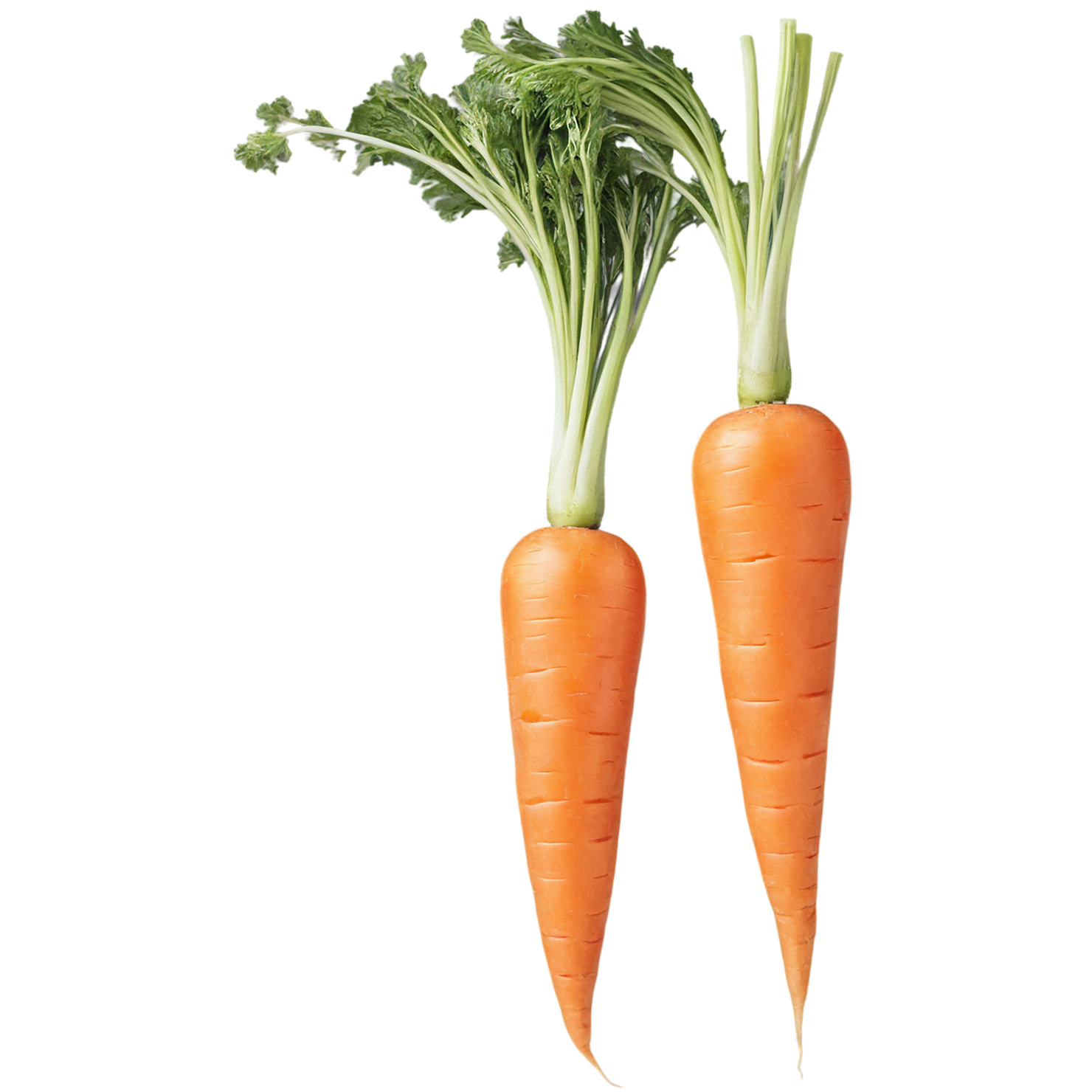 Carrot vegetables isolated on transparent background #10953