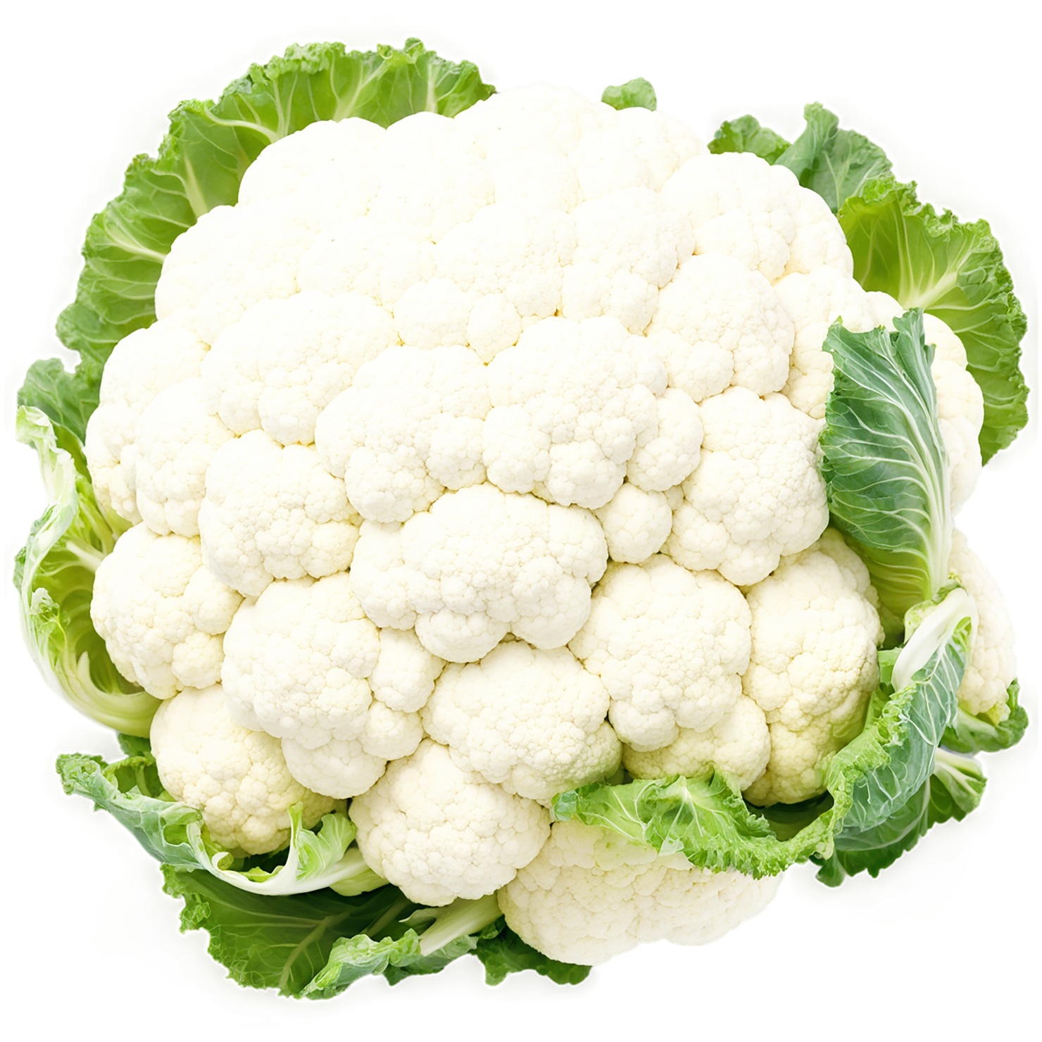 Cauliflower vegetables isolated on transparent background #10956