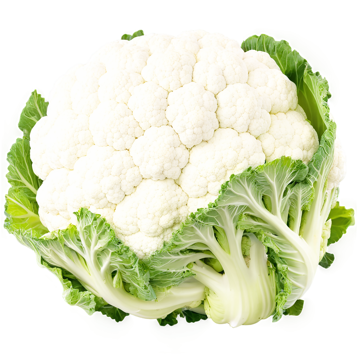Cauliflower vegetables isolated on transparent background #11010