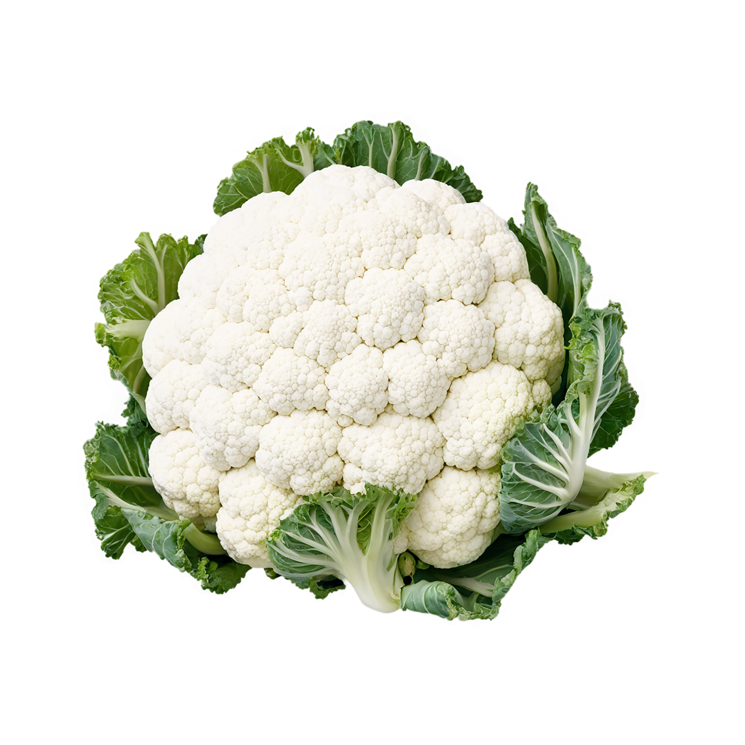 Cauliflower vegetables isolated on transparent background #11024