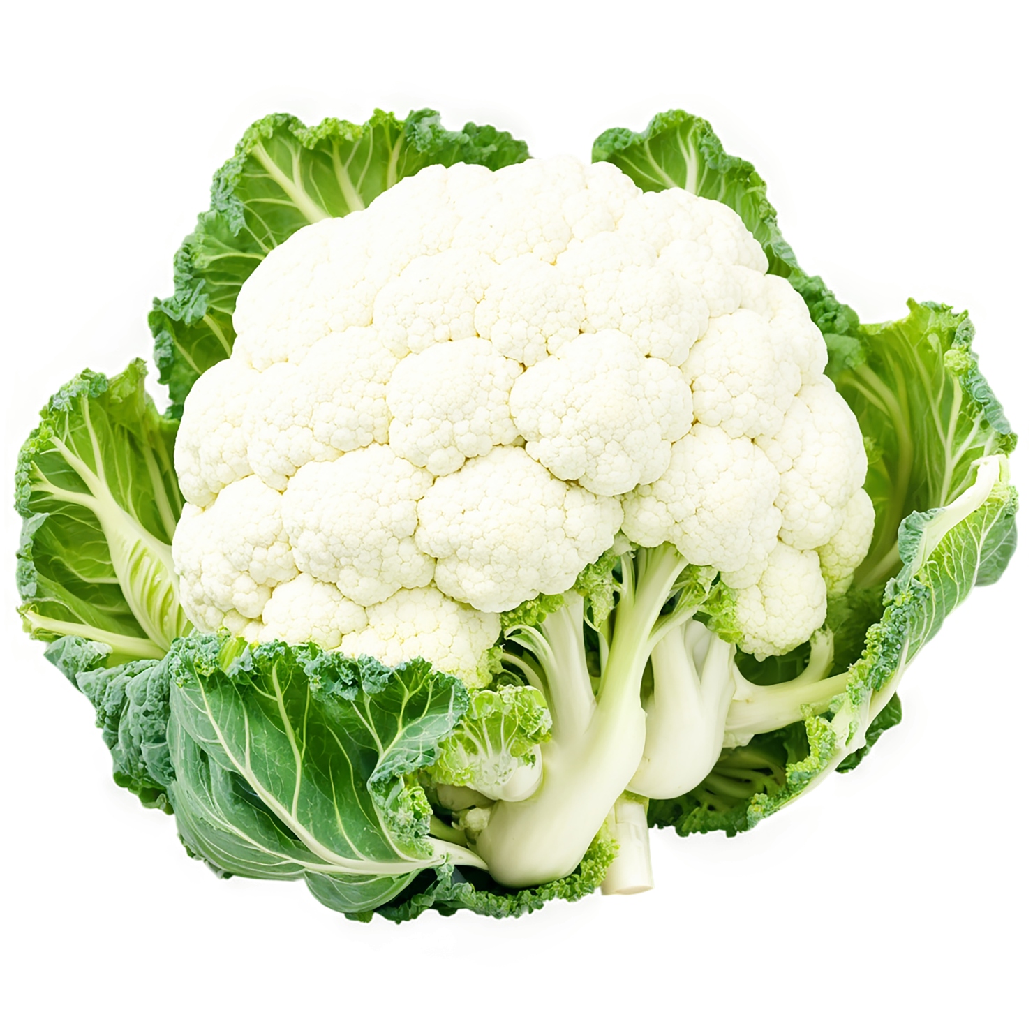Cauliflower vegetables isolated on transparent background #11025