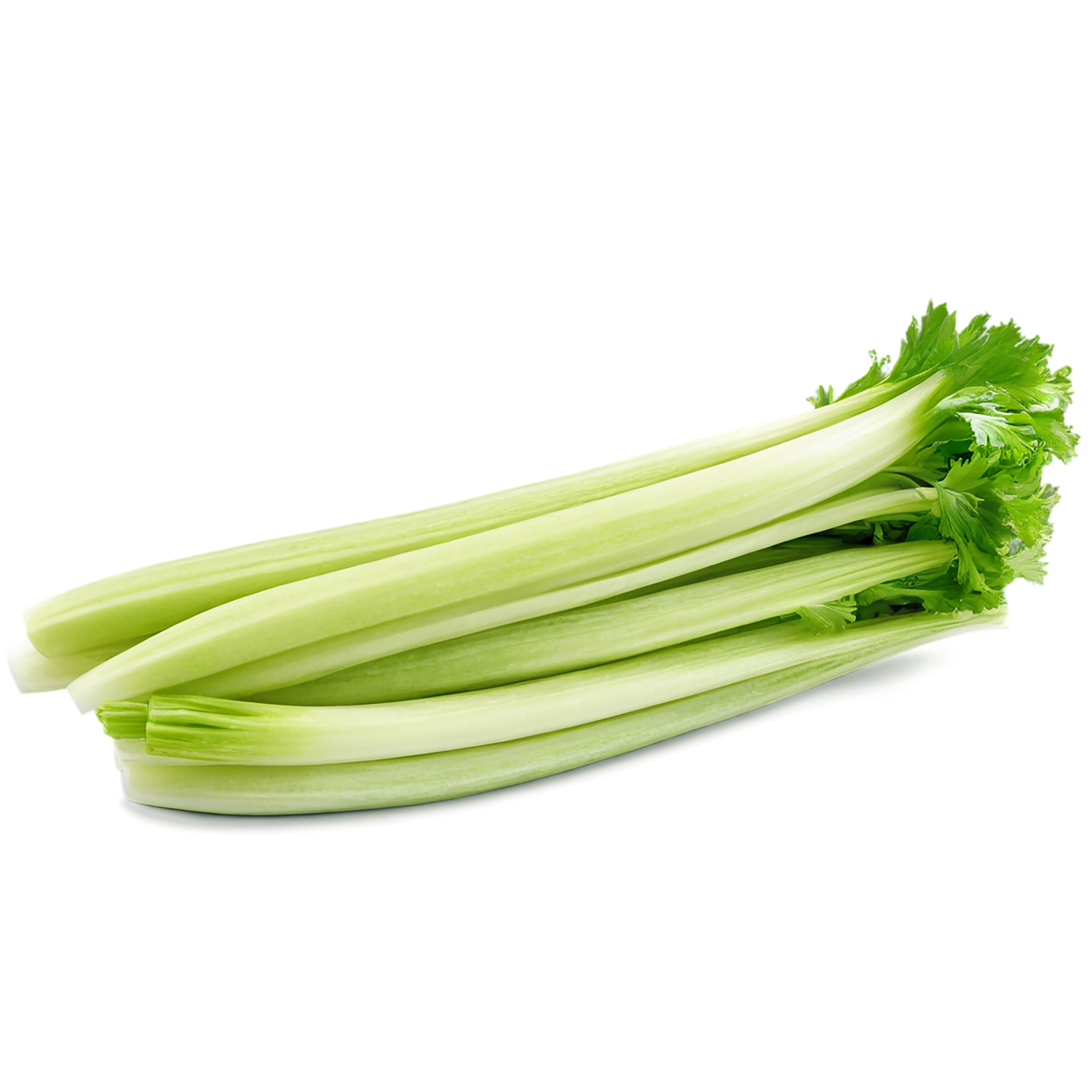 Celery vegetables isolated on transparent background #11055