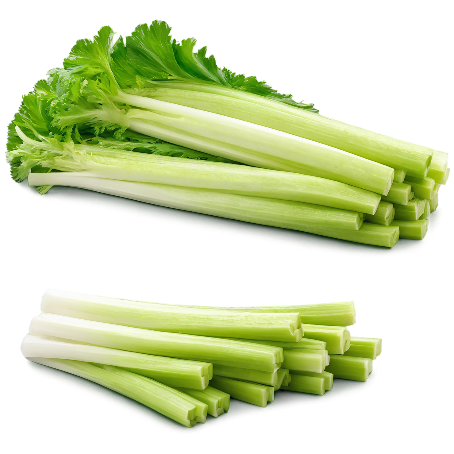 Celery vegetables isolated on transparent background #11105