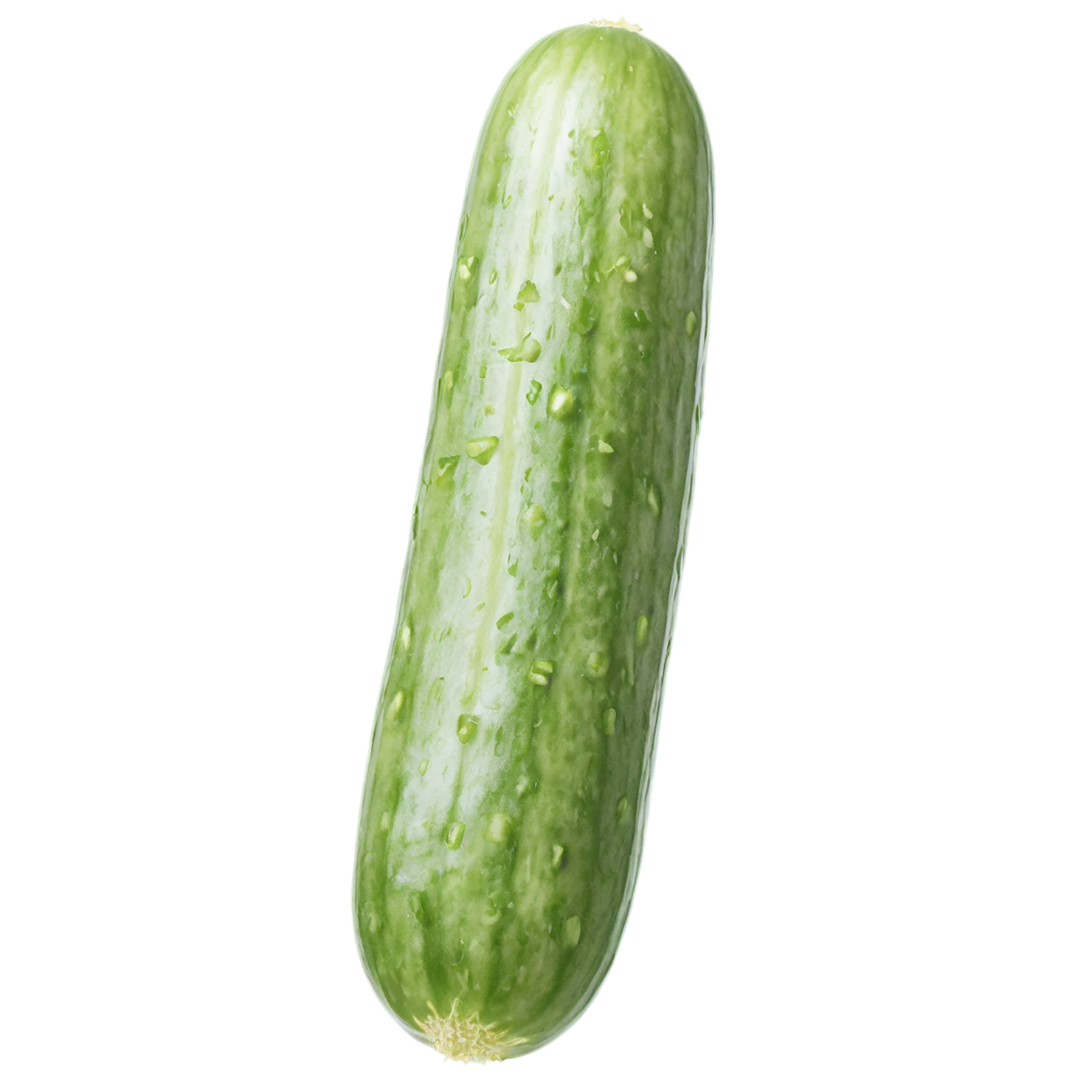 Cucumber vegetables isolated on transparent background #11157