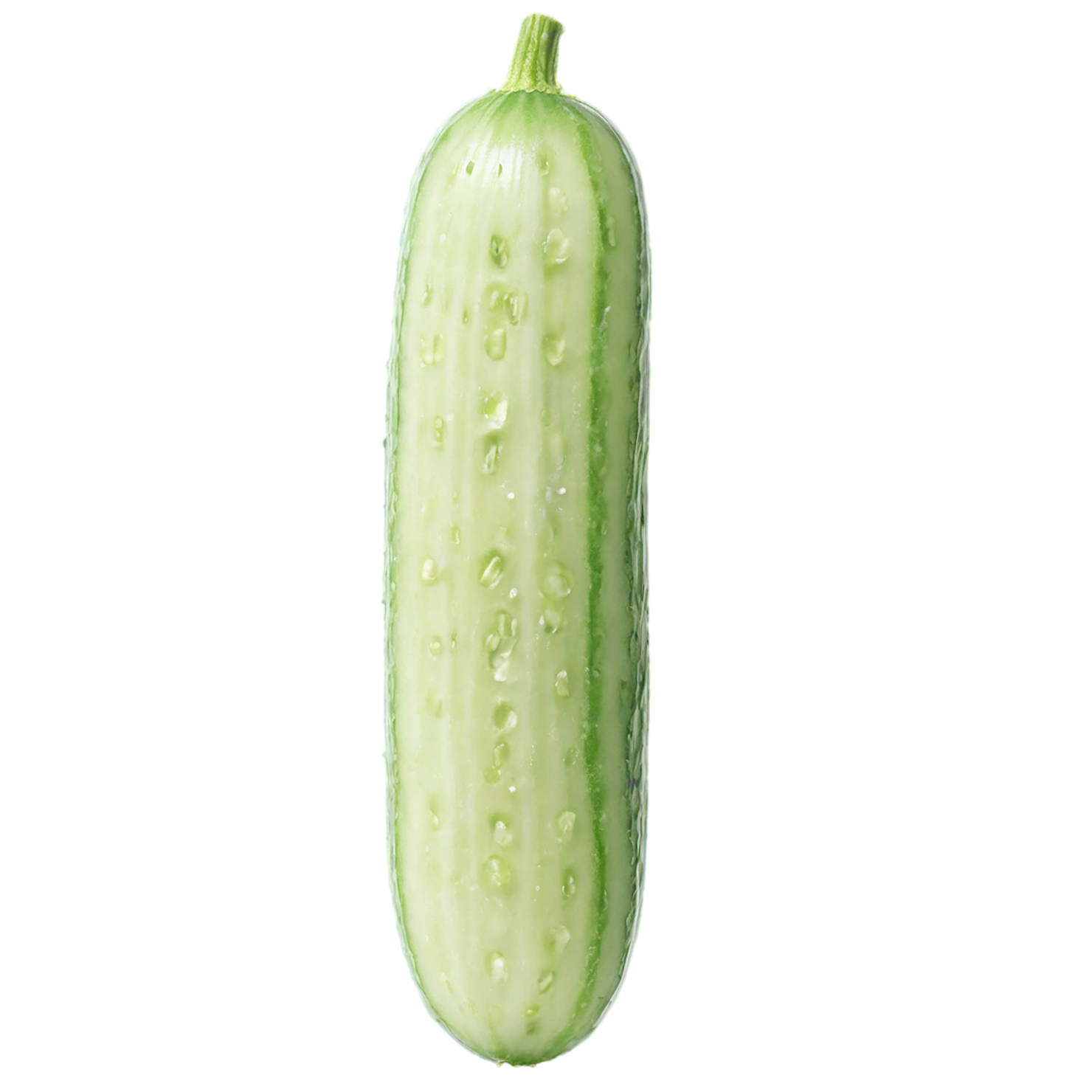 Cucumber vegetables isolated on transparent background #11158