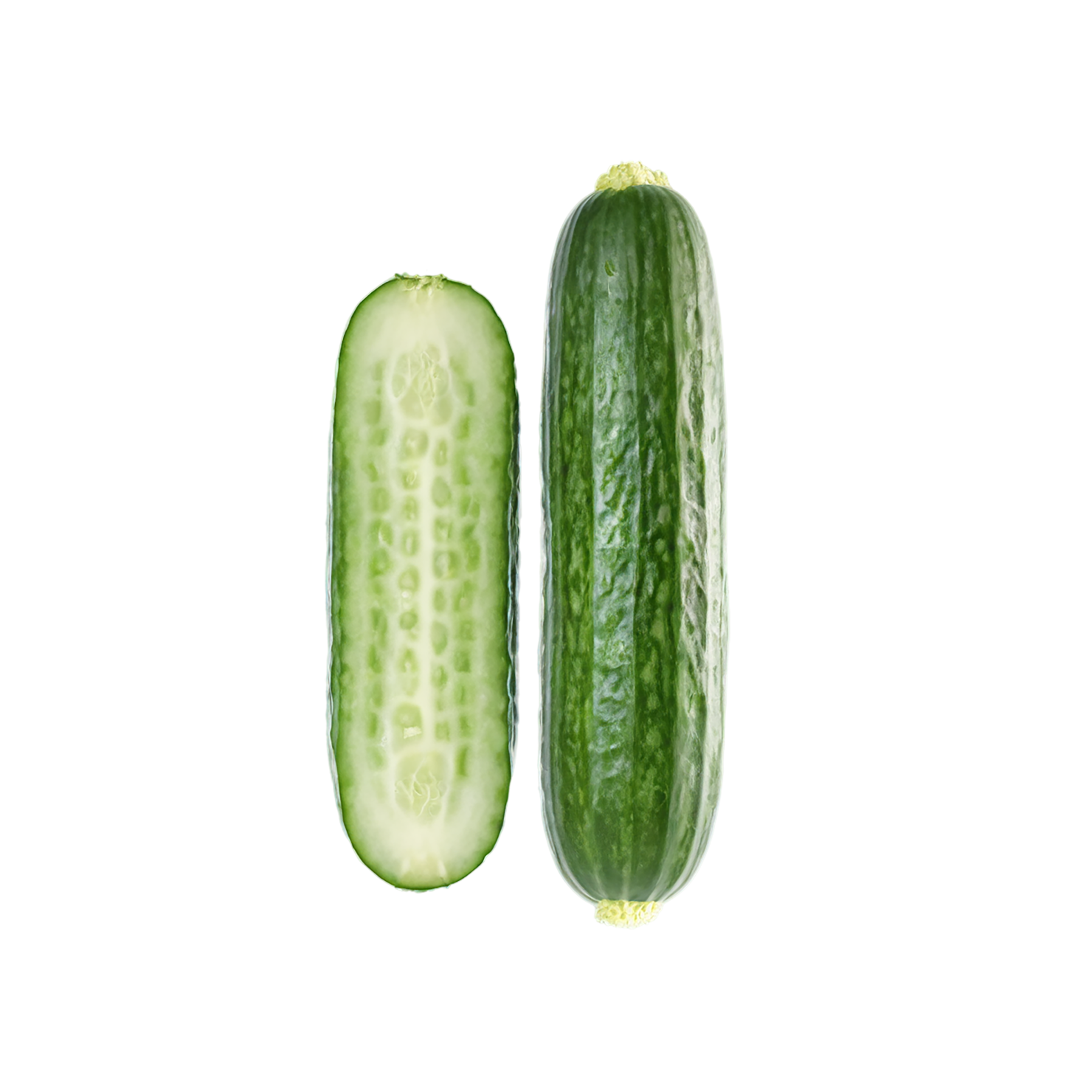 Cucumber vegetables isolated on transparent background #11167