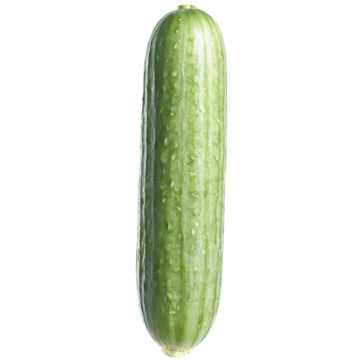Cucumber vegetables isolated on transparent background #11168