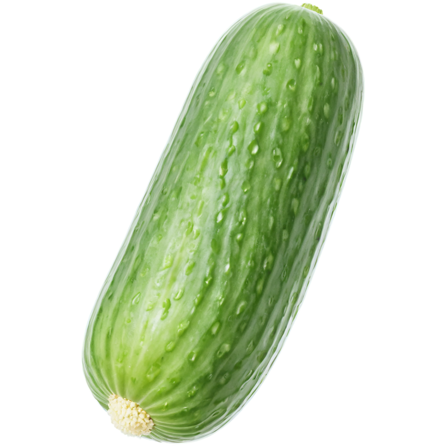Cucumber vegetables isolated on transparent background #11170