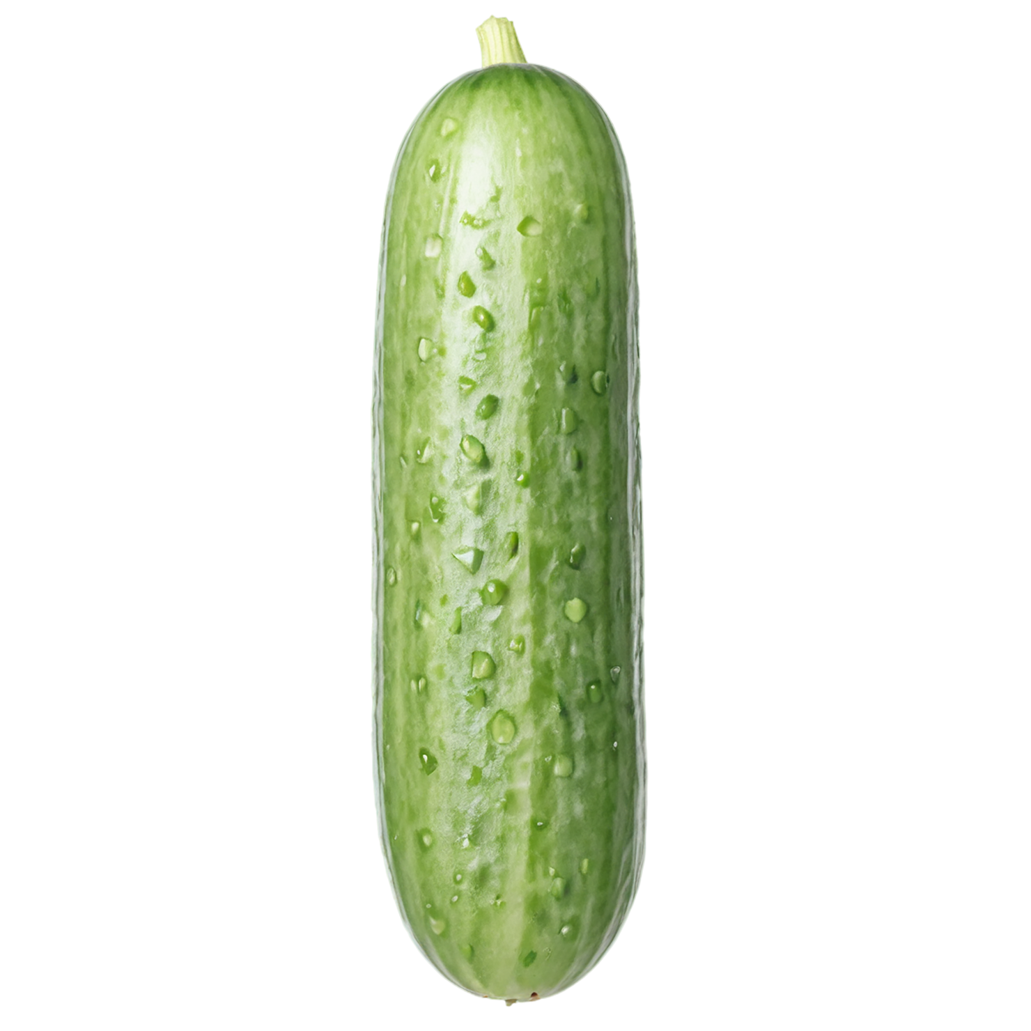 Cucumber vegetables isolated on transparent background #11178