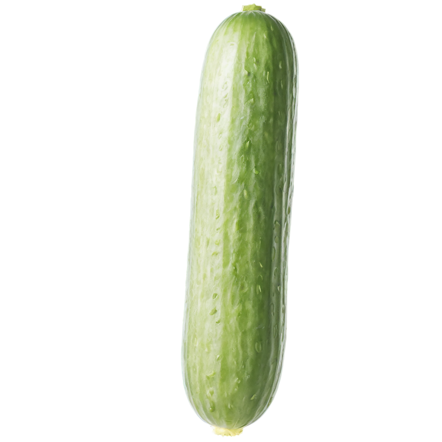 Cucumber vegetables isolated on transparent background #11181