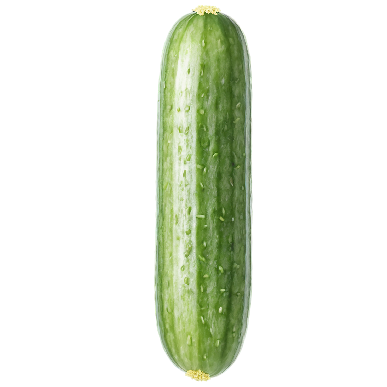 Cucumber vegetables isolated on transparent background #11192