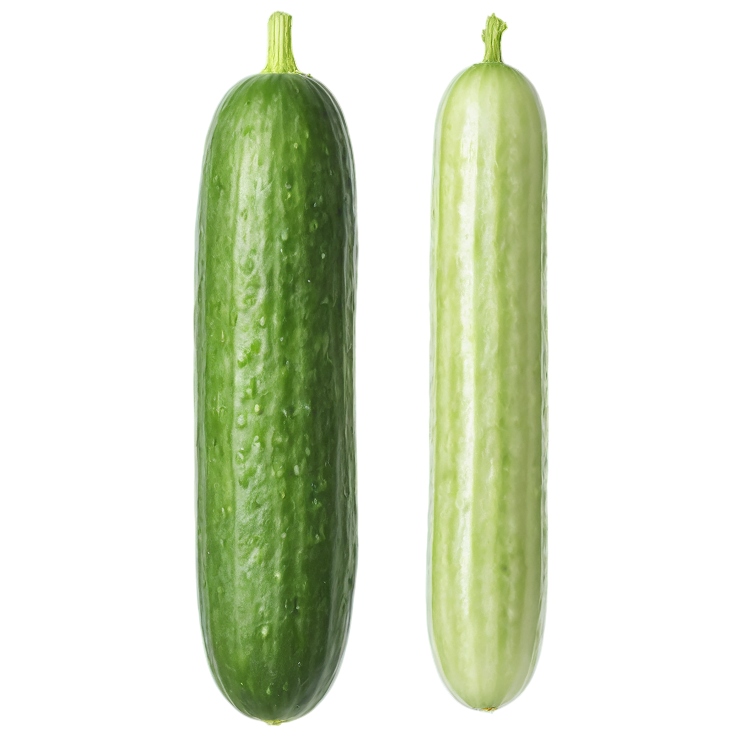 Cucumber vegetables isolated on transparent background #11194