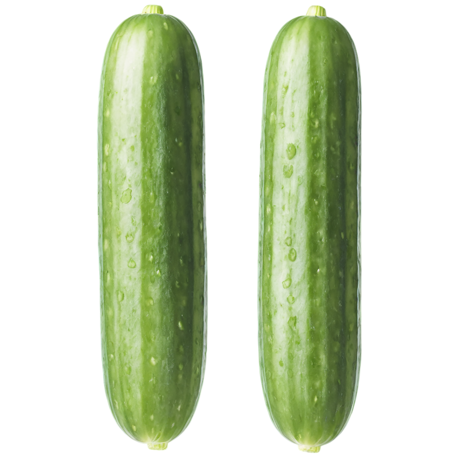 Cucumber vegetables isolated on transparent background #11198