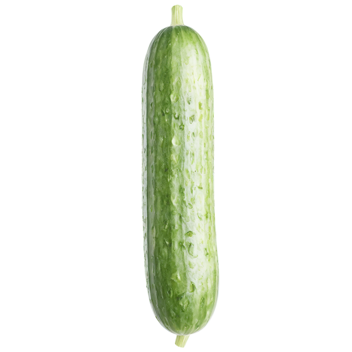 Cucumber vegetables isolated on transparent background #11206