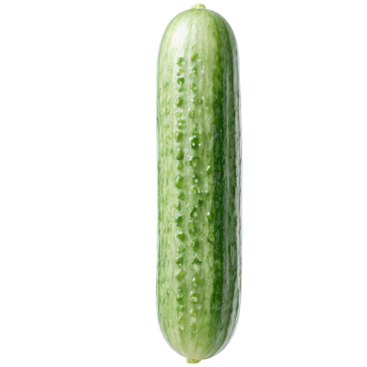 Cucumber vegetables isolated on transparent background #11211