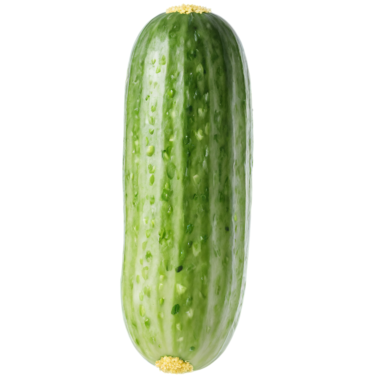 Cucumber vegetables isolated on transparent background #11213