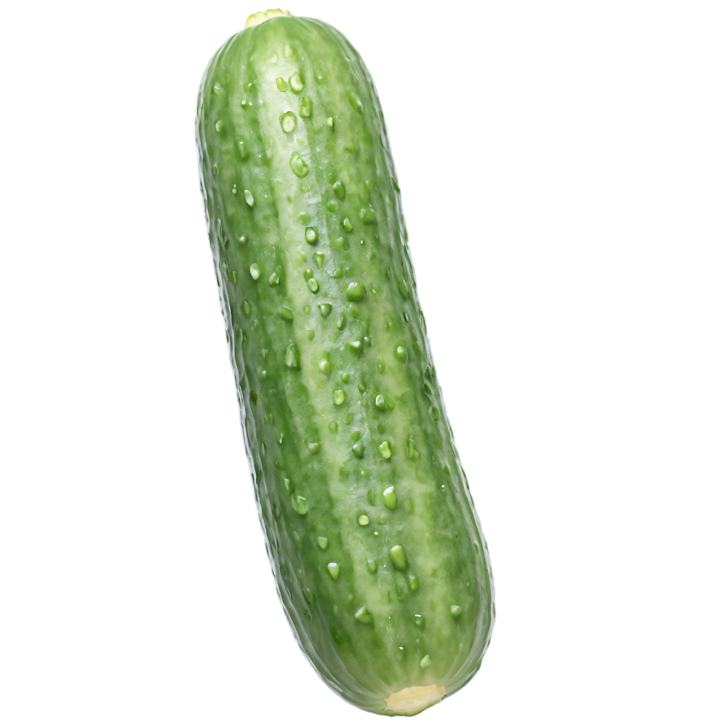 Cucumber vegetables isolated on transparent background #11214