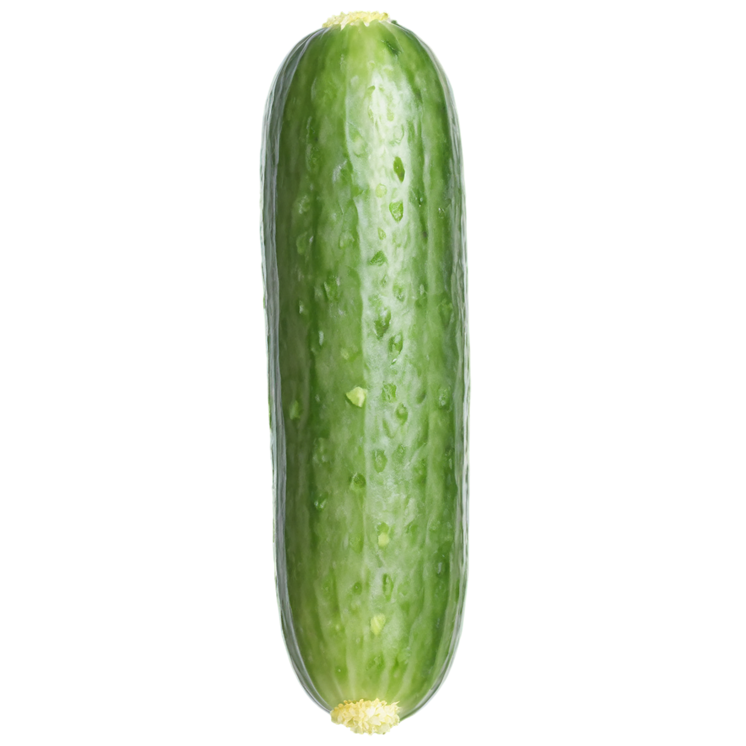 Cucumber vegetables isolated on transparent background #11218