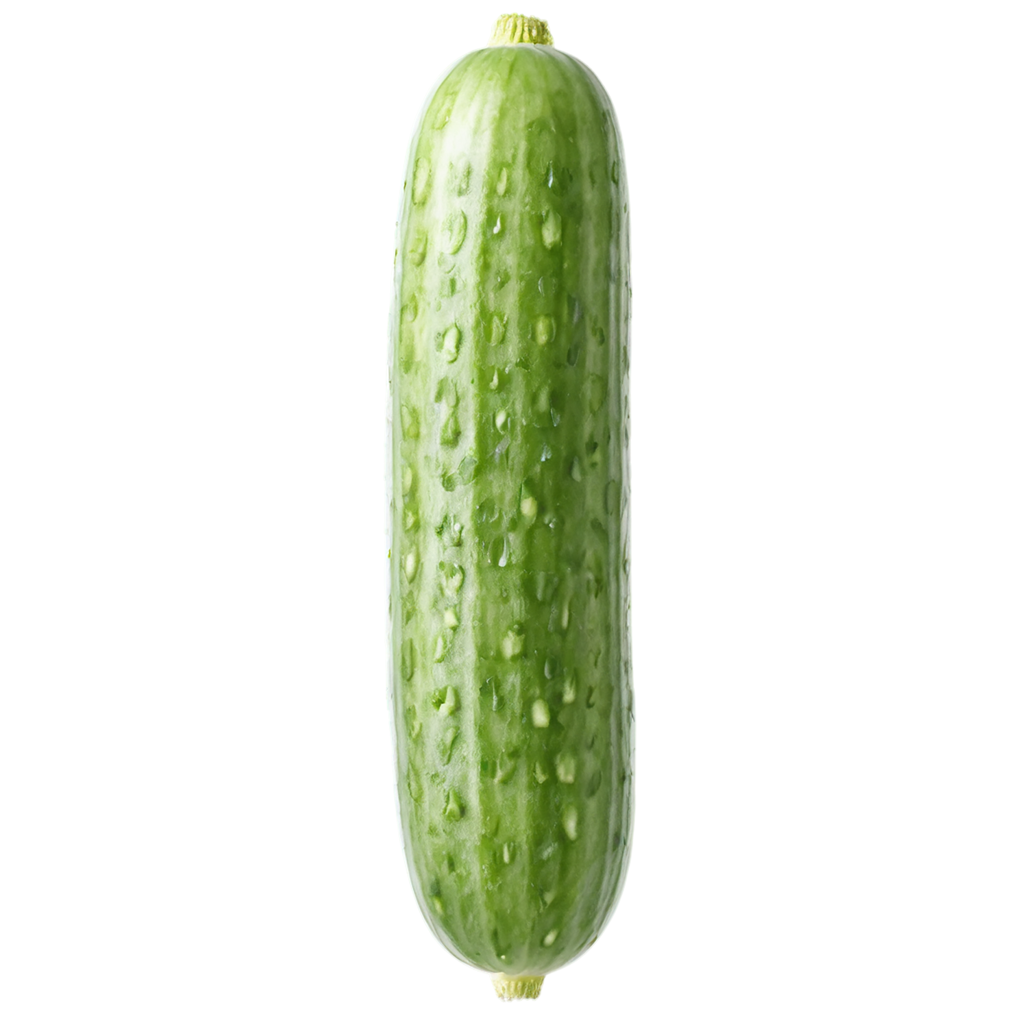 Cucumber vegetables isolated on transparent background #11220