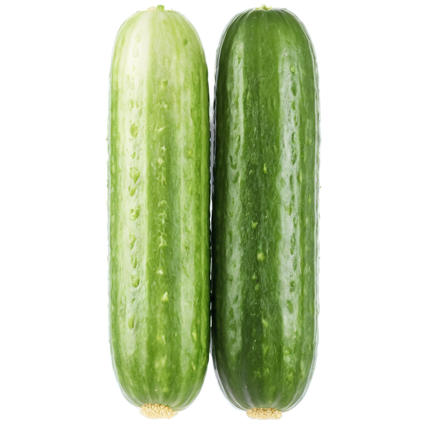 Cucumber vegetables isolated on transparent background #11229
