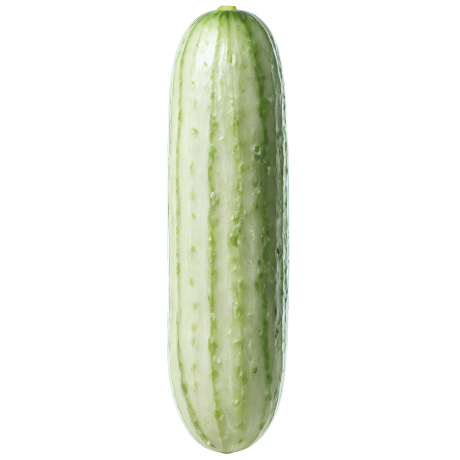 Cucumber vegetables isolated on transparent background #11230