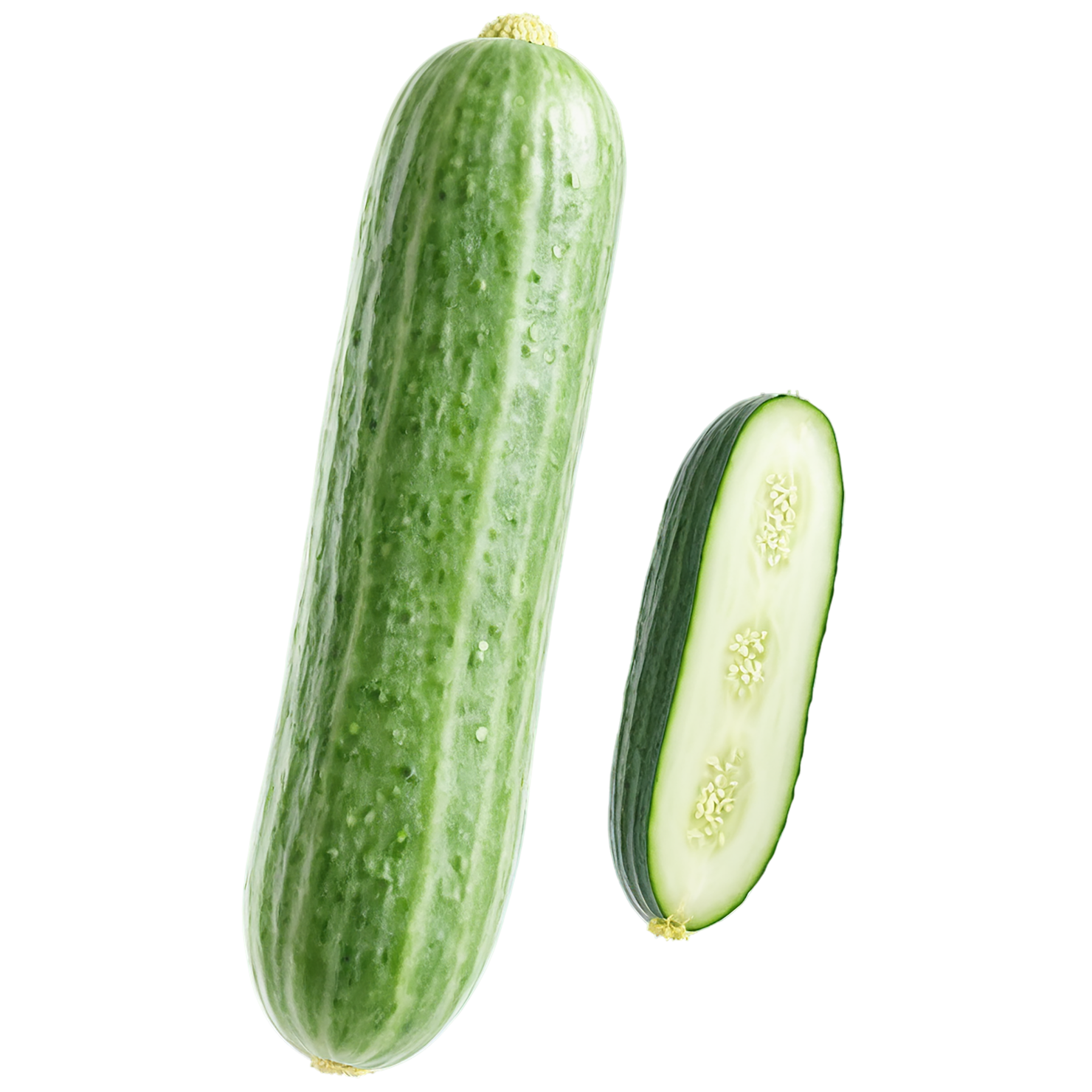 Cucumber vegetables isolated on transparent background #11233