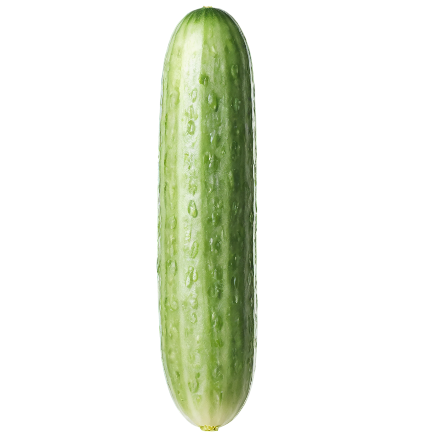 Cucumber vegetables isolated on transparent background #11235