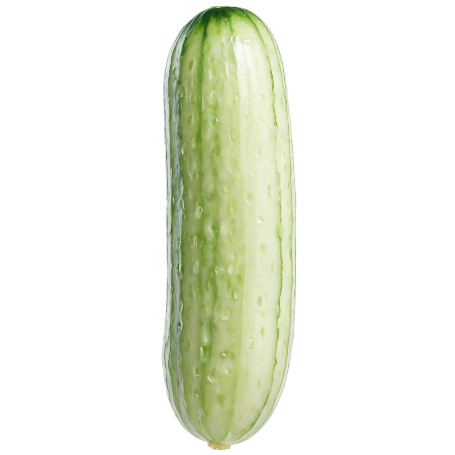 Cucumber vegetables isolated on transparent background #11244