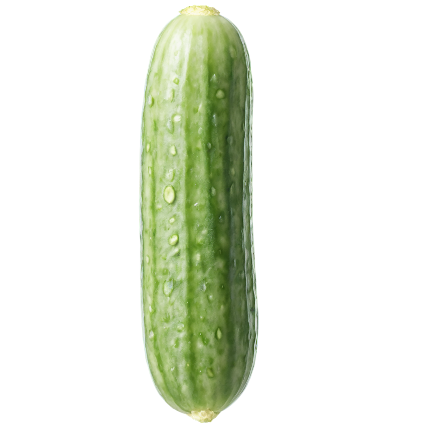 Cucumber vegetables isolated on transparent background #11248