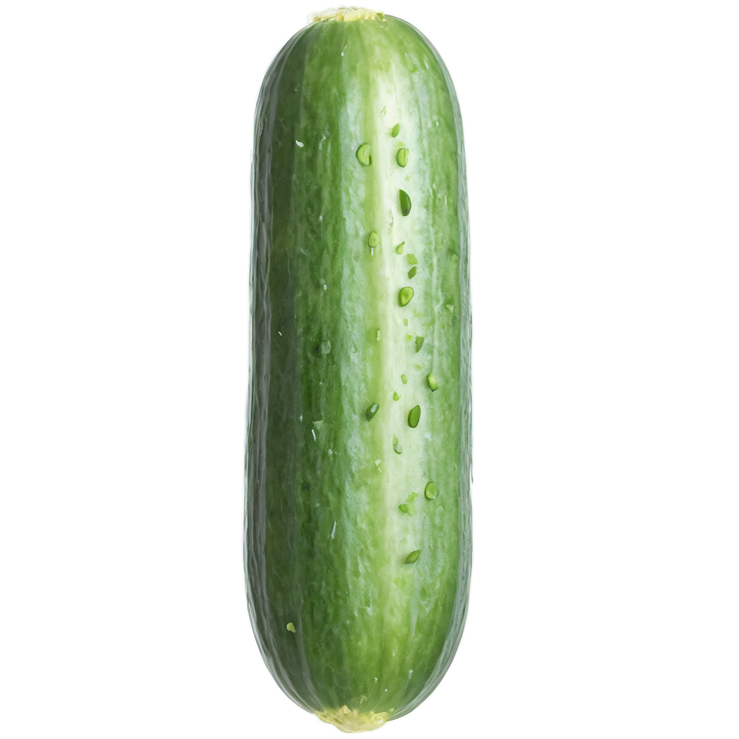 Cucumber vegetables isolated on transparent background #11249