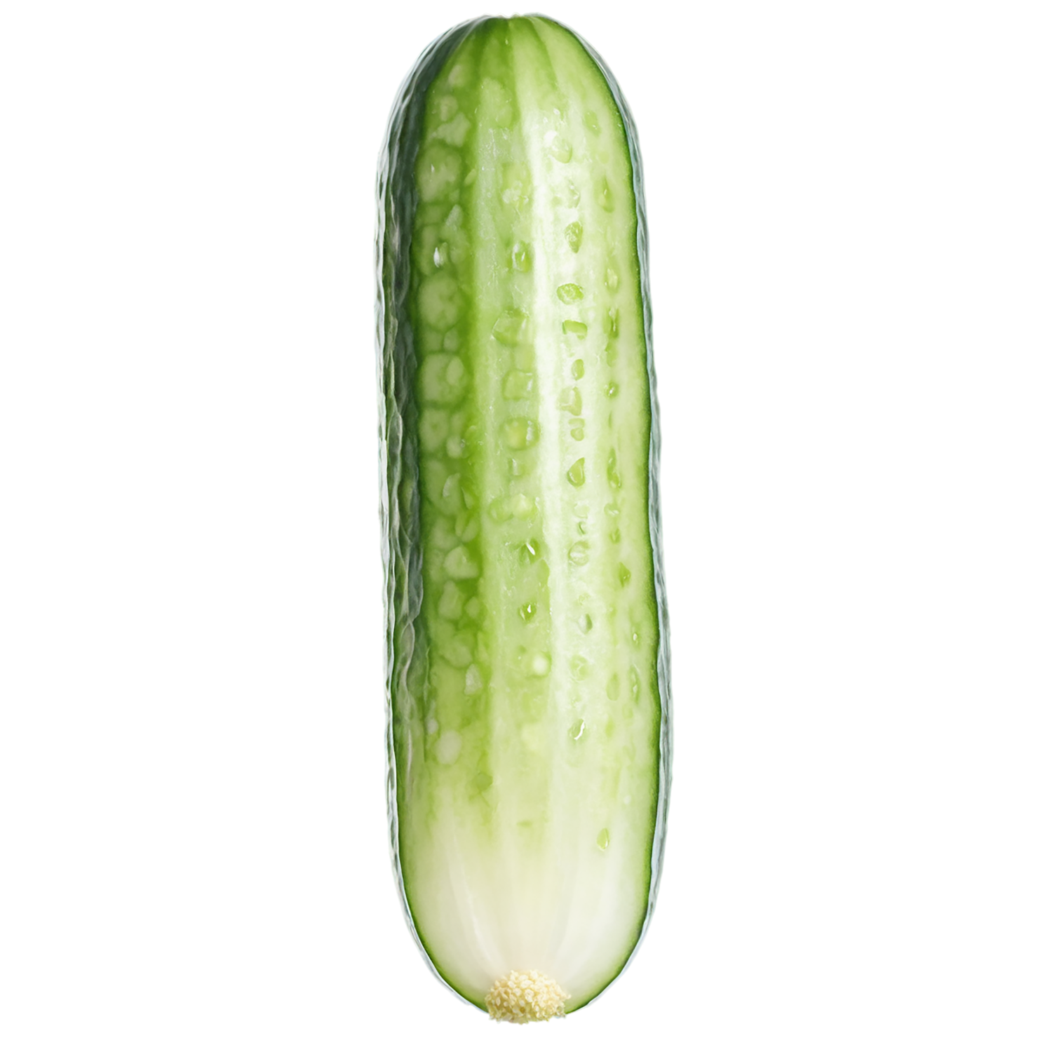 Cucumber vegetables isolated on transparent background #11251