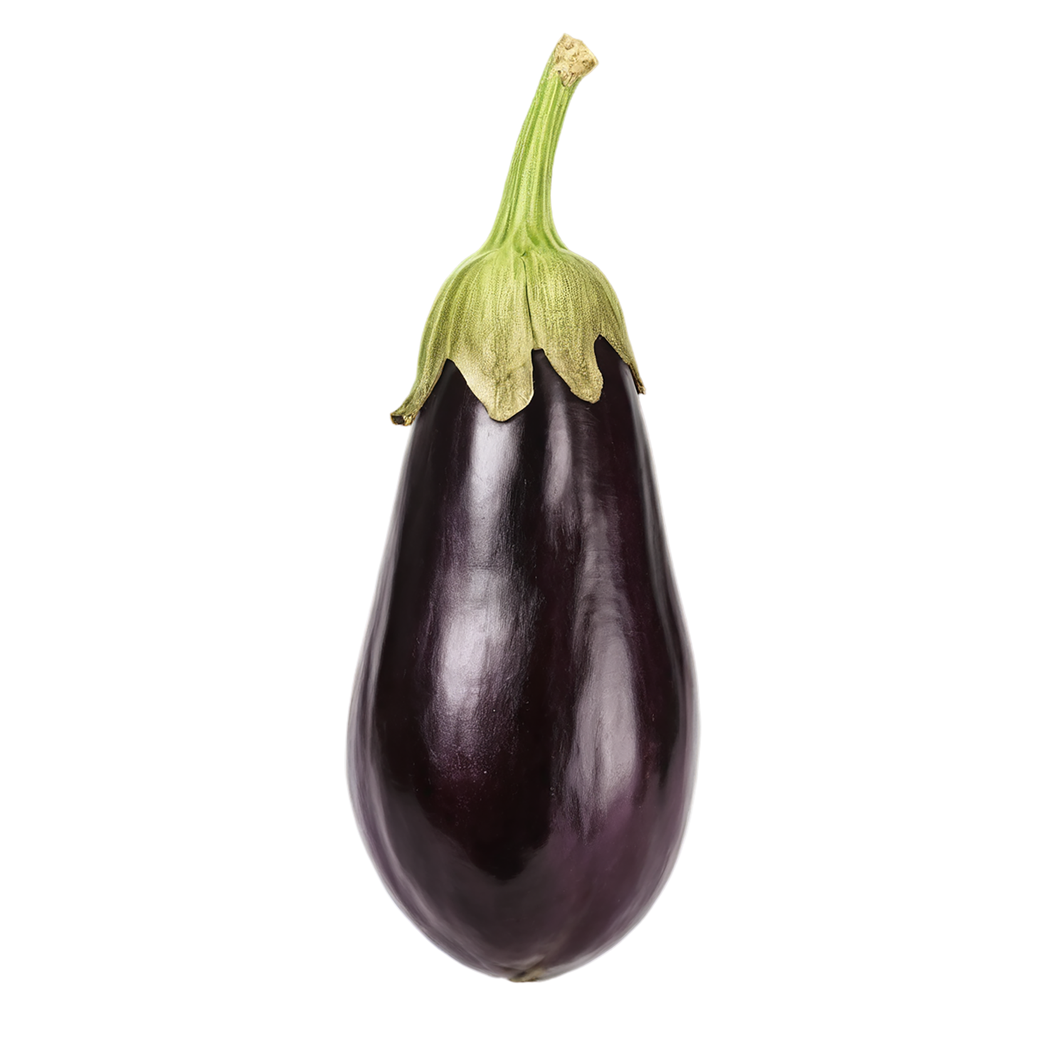 Eggplant vegetables isolated on transparent background #11321