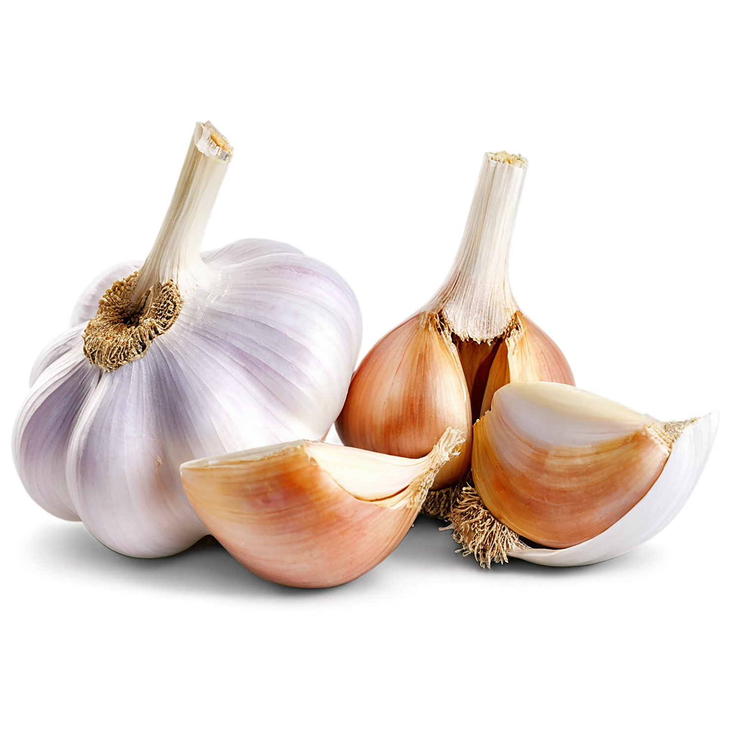 Garlic vegetables isolated on transparent background #11335