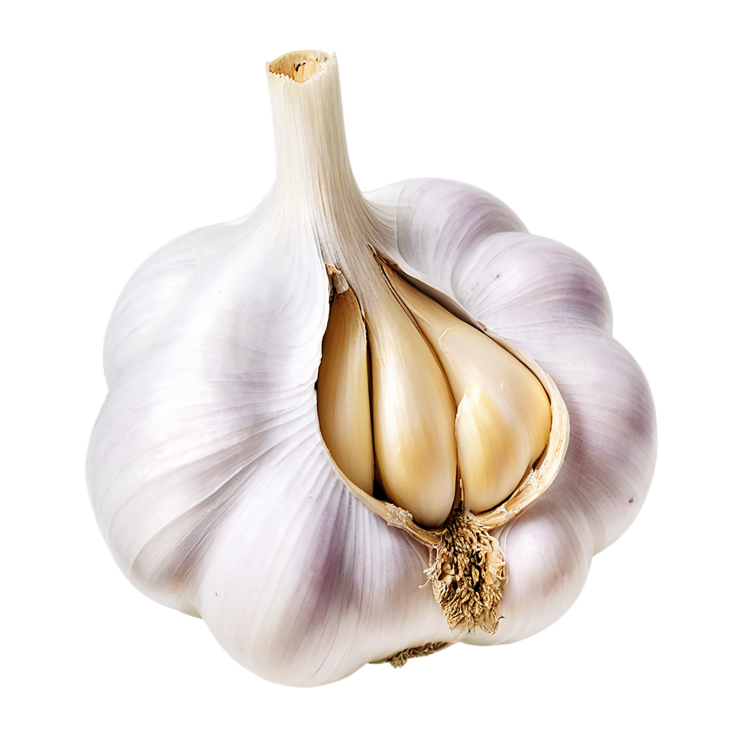 Garlic vegetables isolated on transparent background #11347