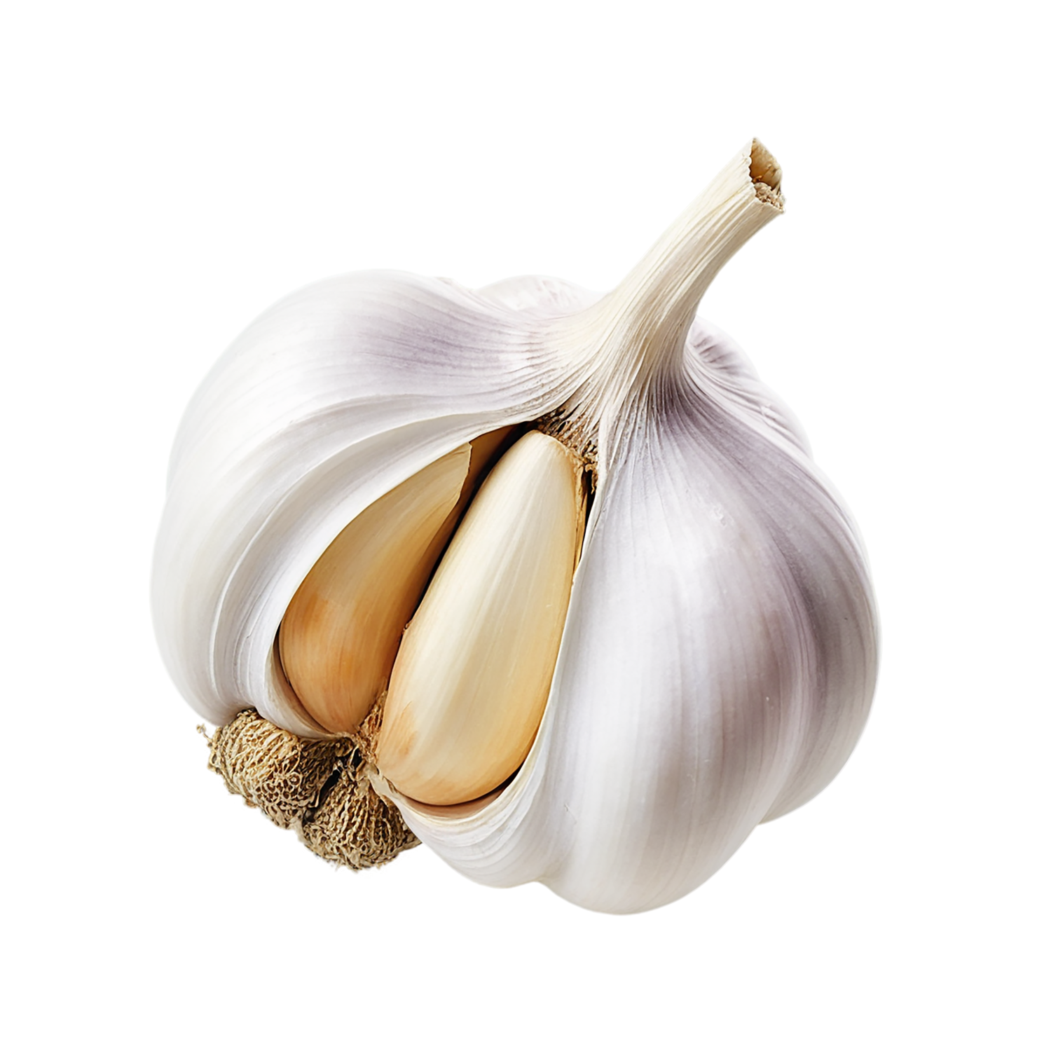 Garlic vegetables isolated on transparent background #11353