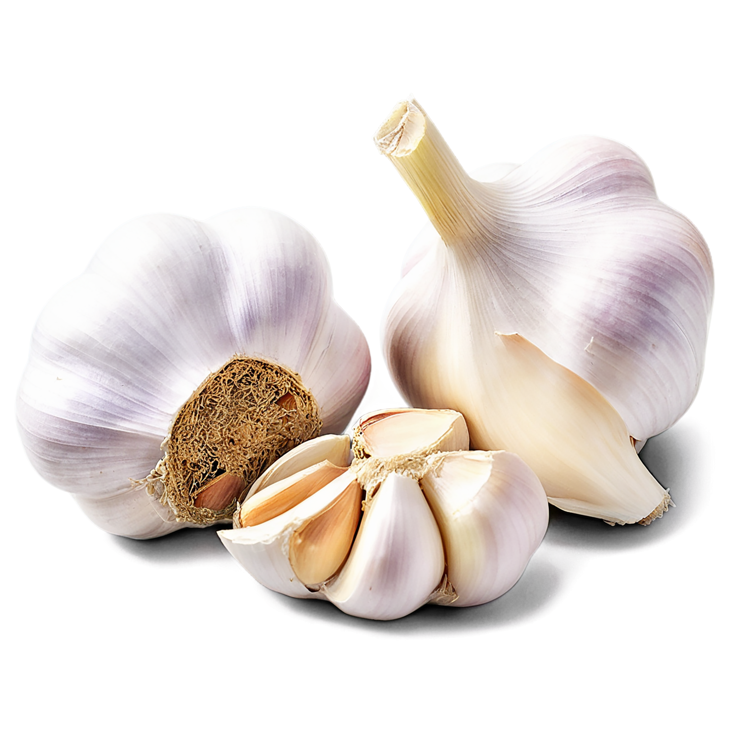 Garlic vegetables isolated on transparent background #11388