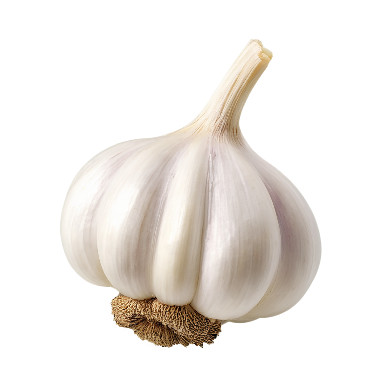 Garlic vegetables isolated on transparent background #11389